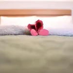 Apartament Tzamaros